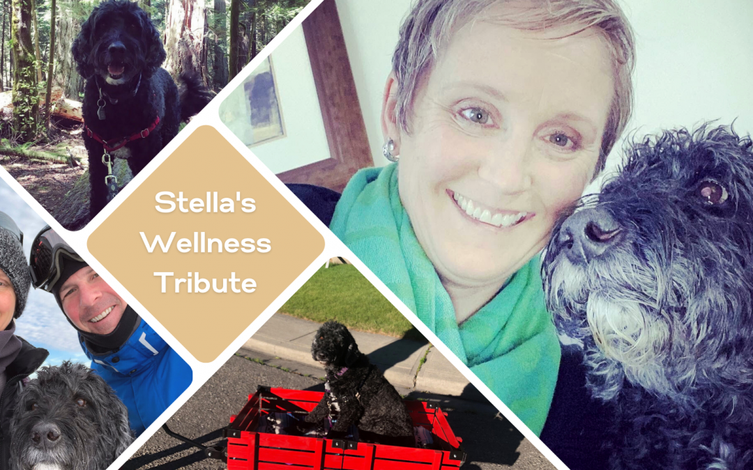 Stella’s Wellness Tribute